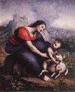 Cesare da Sesto Madonna and Child with the Lamb of God France oil painting artist